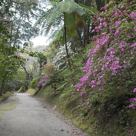 Gospodarstwo wiejskie Casa Dos Barcos