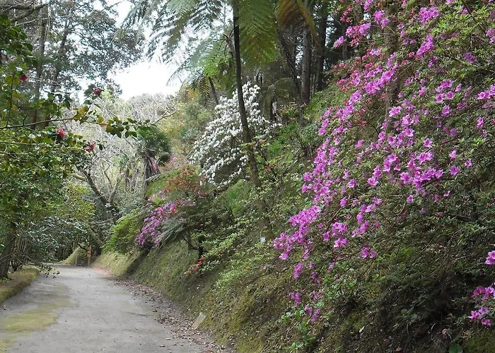 منزل ريفي Casa Dos Barcos